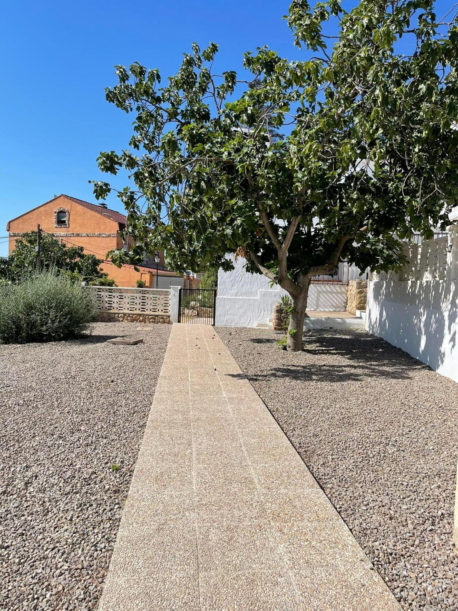 Djm Palms - Shared Casa Rural - Casa Rural Compartida - No Es Una Casa Privada Ayora 외부 사진